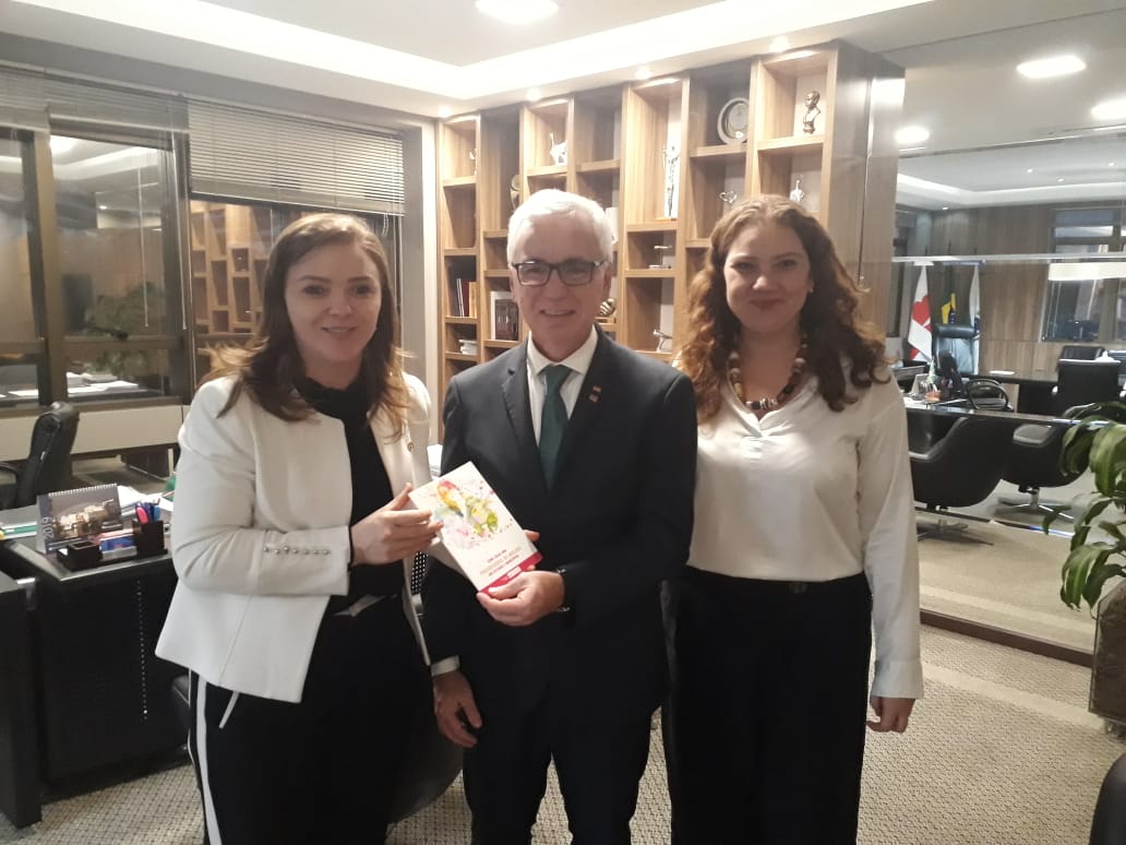 OAB-PR poderá ser parceira na capacitação das Procuradorias da Mulher das Câmaras Municipais.